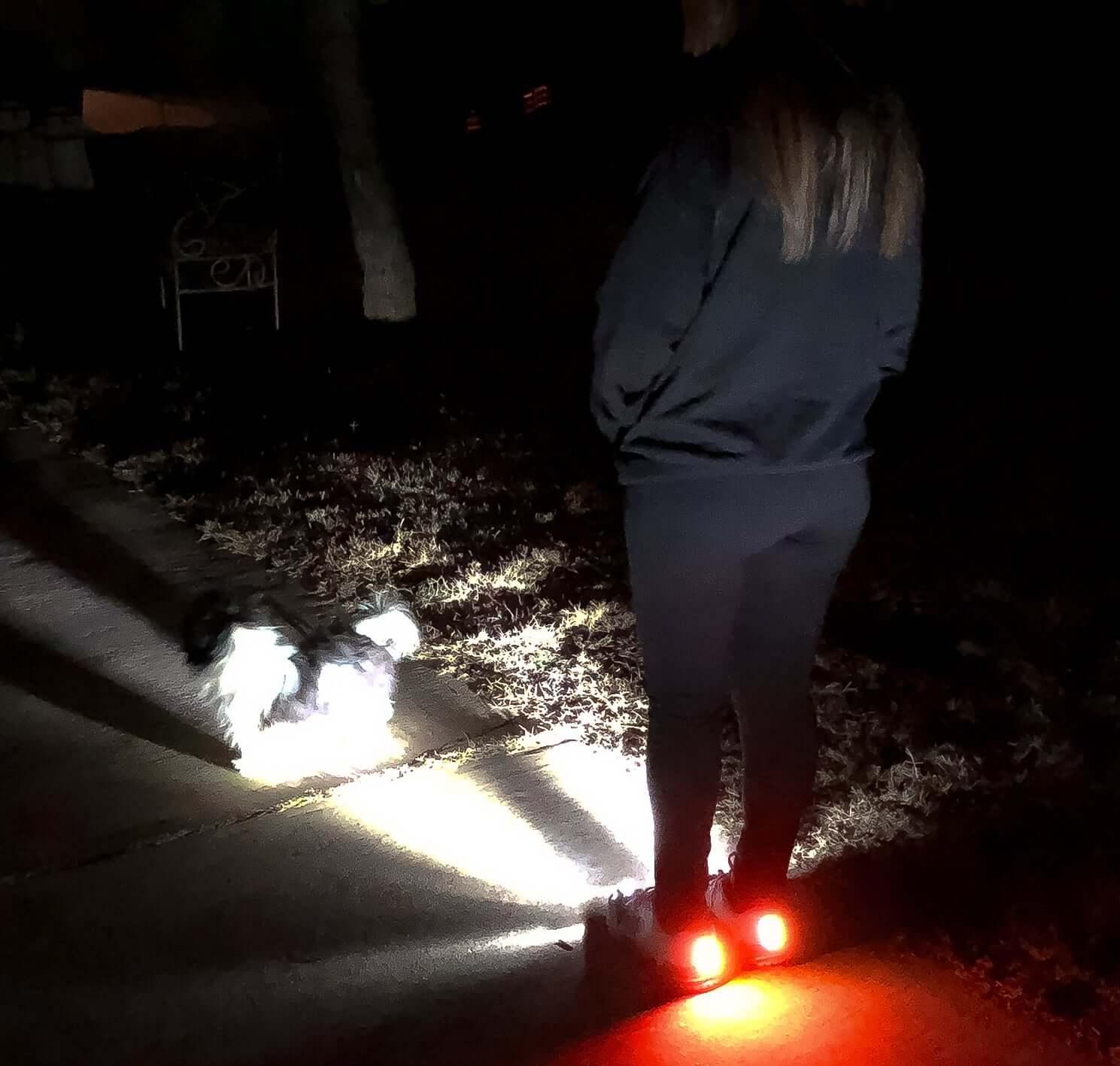 Woman walking a dog at night, wearing Women&